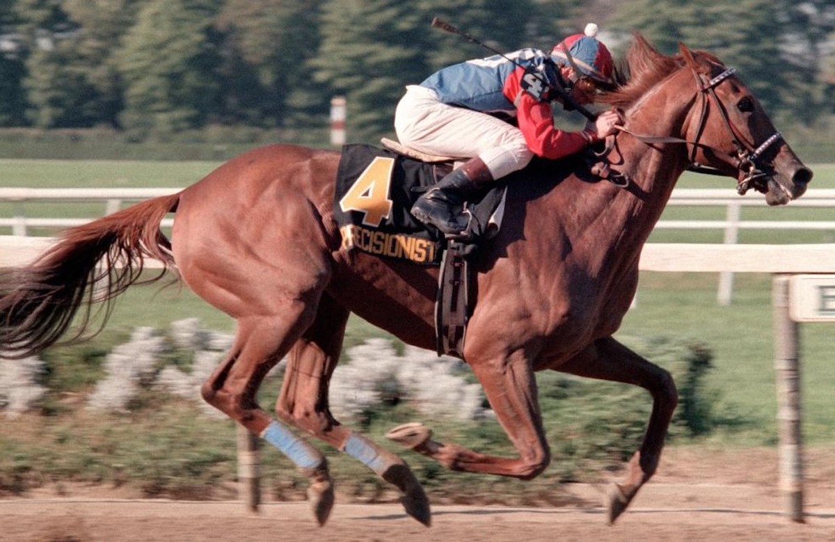 Precisionist, captured at the peak of his form in winning the 1986 Woodward Stakes at Belmont Park by a wide margin. (Coglianese Photos)