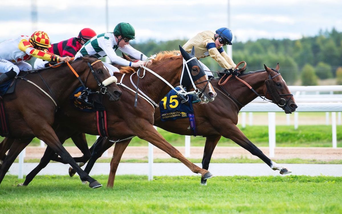 Hard One To Please (Pat Cosgrave, green and white checks) challenges leader Outbox in the G3 Stockholm Cup at Bro Park. Photo: Elina Bjoerklund / Svensk Galopp