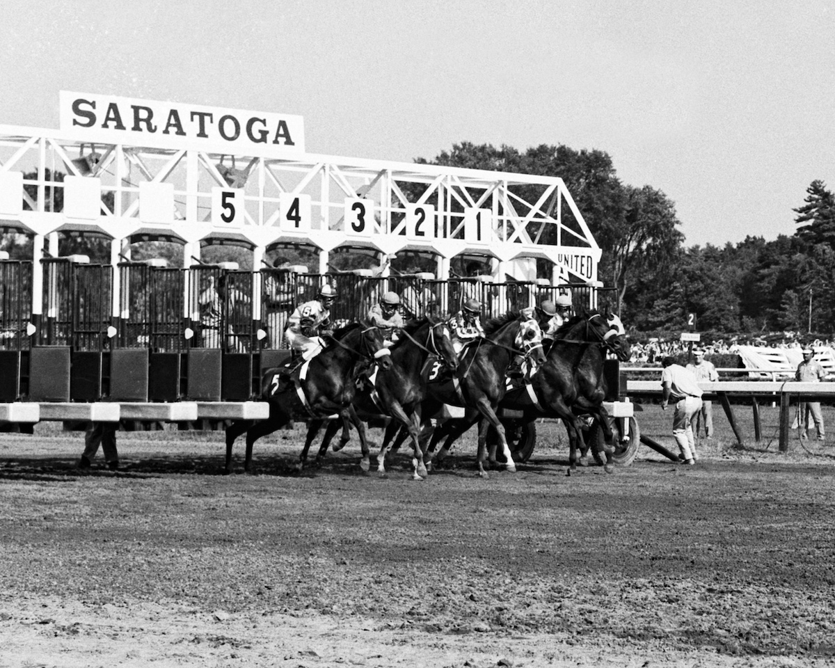 They’re off: the field exists the gate for the Whitney. Photo: NYRA / Bob Coglianese
