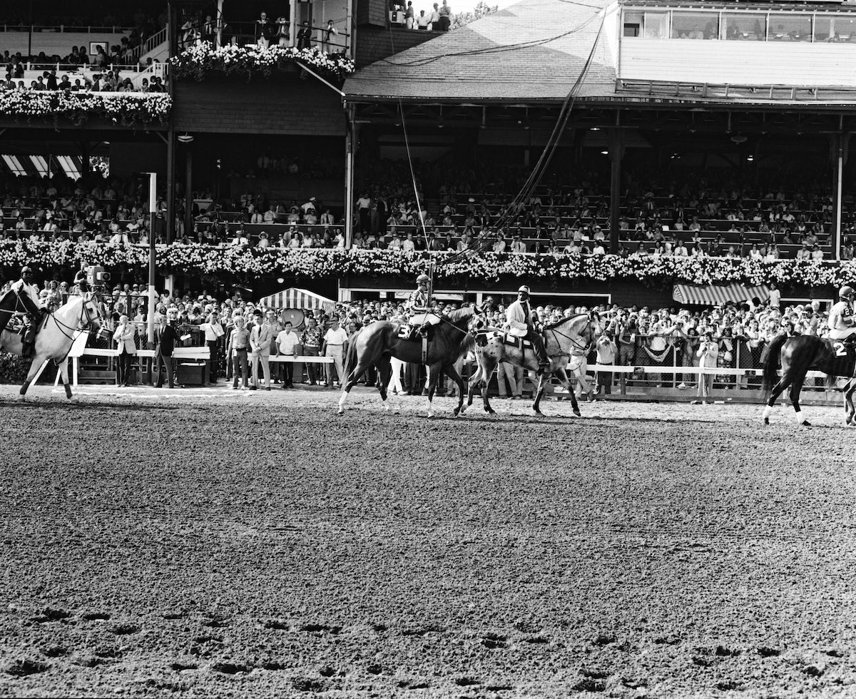 Going to post: Secretariat in the Whitney parade. Photo: NYRA / Bob Coglianese