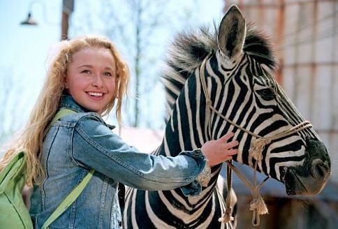 It's just another movie about a girl and her … racing zebra (Warner Bros. photo)