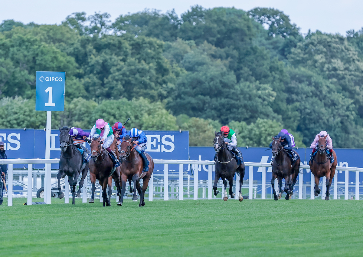 At the furlong marker: Hukum (blue silks) and Westover (pink cap) begin to assert as King Of Steel (rails) cries enough. Photo: Mark Cranham / focusonracing.com