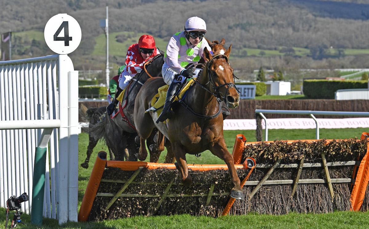Vauban (Paul Townend) en route to victory in the JCB Triumph Hurdle, the four-year-old championship event at in March 2022. Photo: Francesca Altoft / focusonracing.com