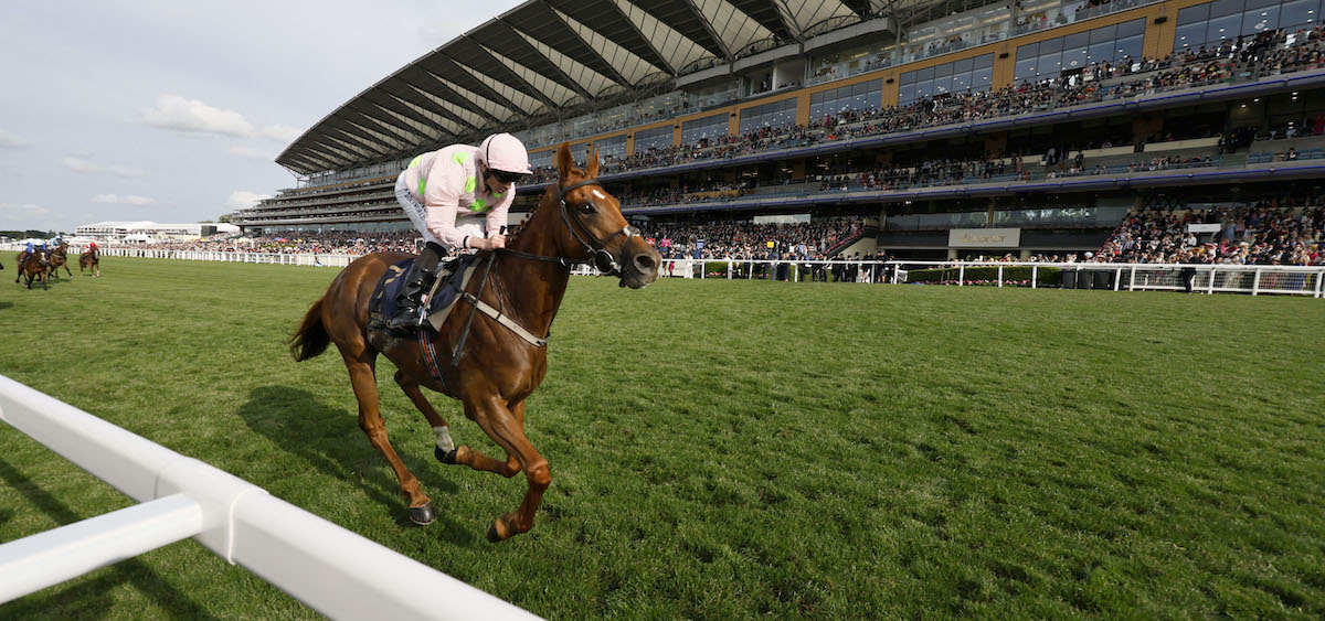 Vauban and Ryan Moore in splendid isolation as they win the Copper Horse Handicap at Royal Ascot. Photo: Dan Abraham / focusonracing.com