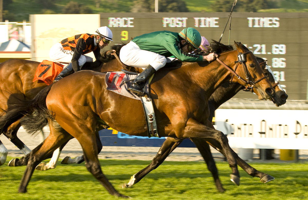 Never shy about dramatics: Gio Ponti is up in the last jump to beat stellar filly Ventura in the 2009 Kilroe Mile at Santa Anita Park. (Benoit photo)