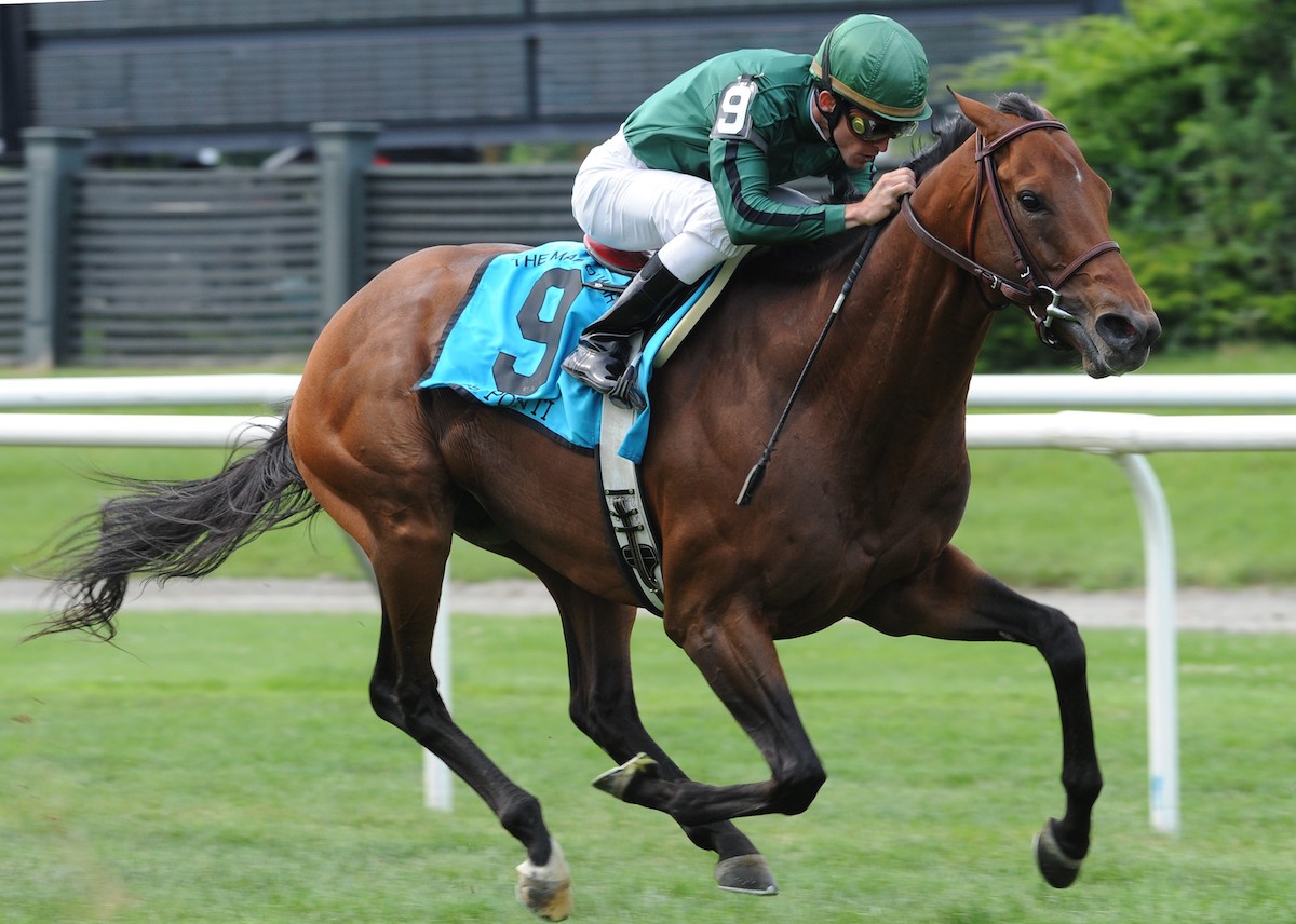 The 2009 Man o' War Stakes falls to Gio Ponti despite a wide trip around the Belmont turf. (Coglianese photo)