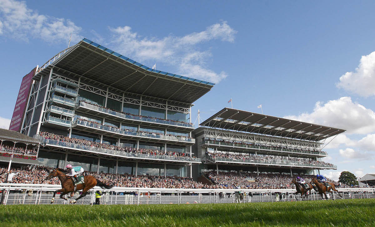 Frankel (Tom Queally) strolls seven lengths clear in front of packed stands to win the Juddmonte International in 2012. Photo: Dan Abraham/focusonracing.com