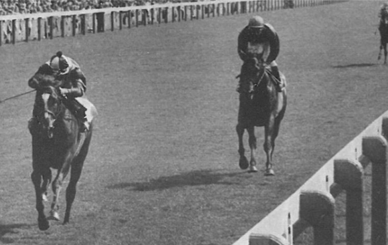 Roberto defeats Brigadier Gerard in the 1972 Benson & Hedges Gold Cup. Photo via Racehorses of 1972 by Timeform