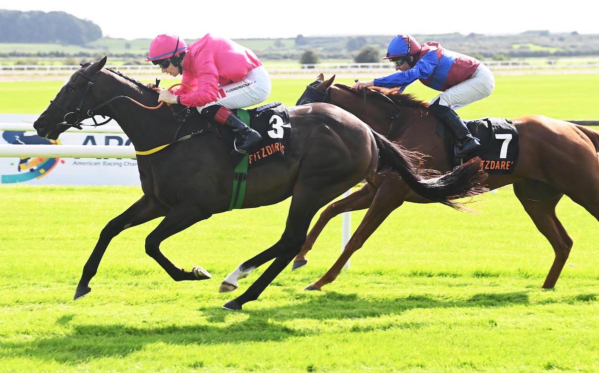 Tattersalls Ireland graduate Layfayette (Colin Keane) lands his latest Pattern-race success as he beats Unrest in the G3 Royal Whip at The Curragh. Photo: Healy / focusonracing.com