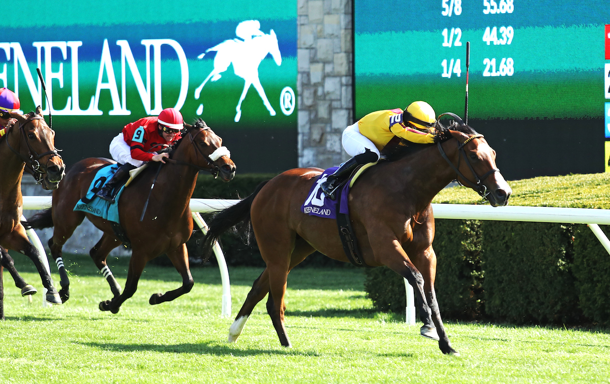 Twiiight Gleaming: Breeders' Cup winner for Wesley Ward in 2021 is an Orby Sale graduate. Photo: Keeneland