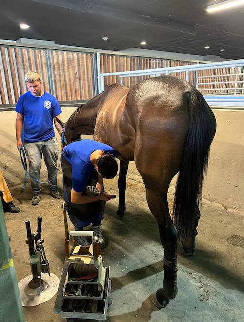 Puerto Rico’s jockey school also offers courses in other equine disciplines. Photo: EVH