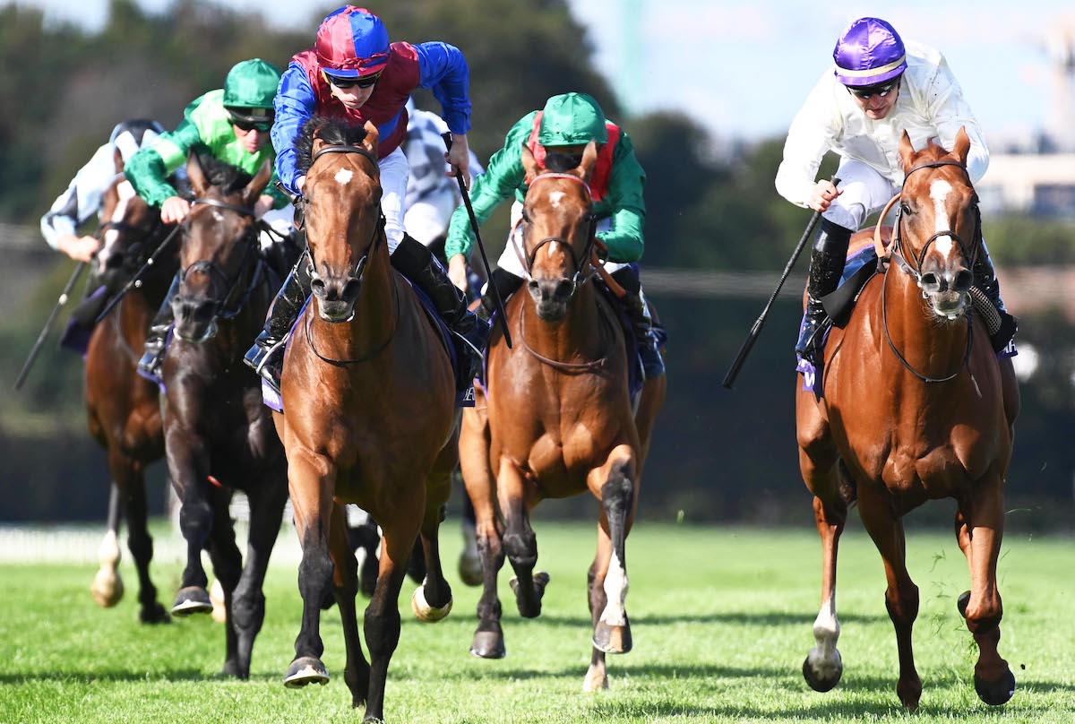 Ryan Moore drives out Luxembourg (left) to beat French-trained Onesto (white silks, purple cap) in last year’s Irish Champion Stakes. Photo: Healy Racing / focusonracing.com