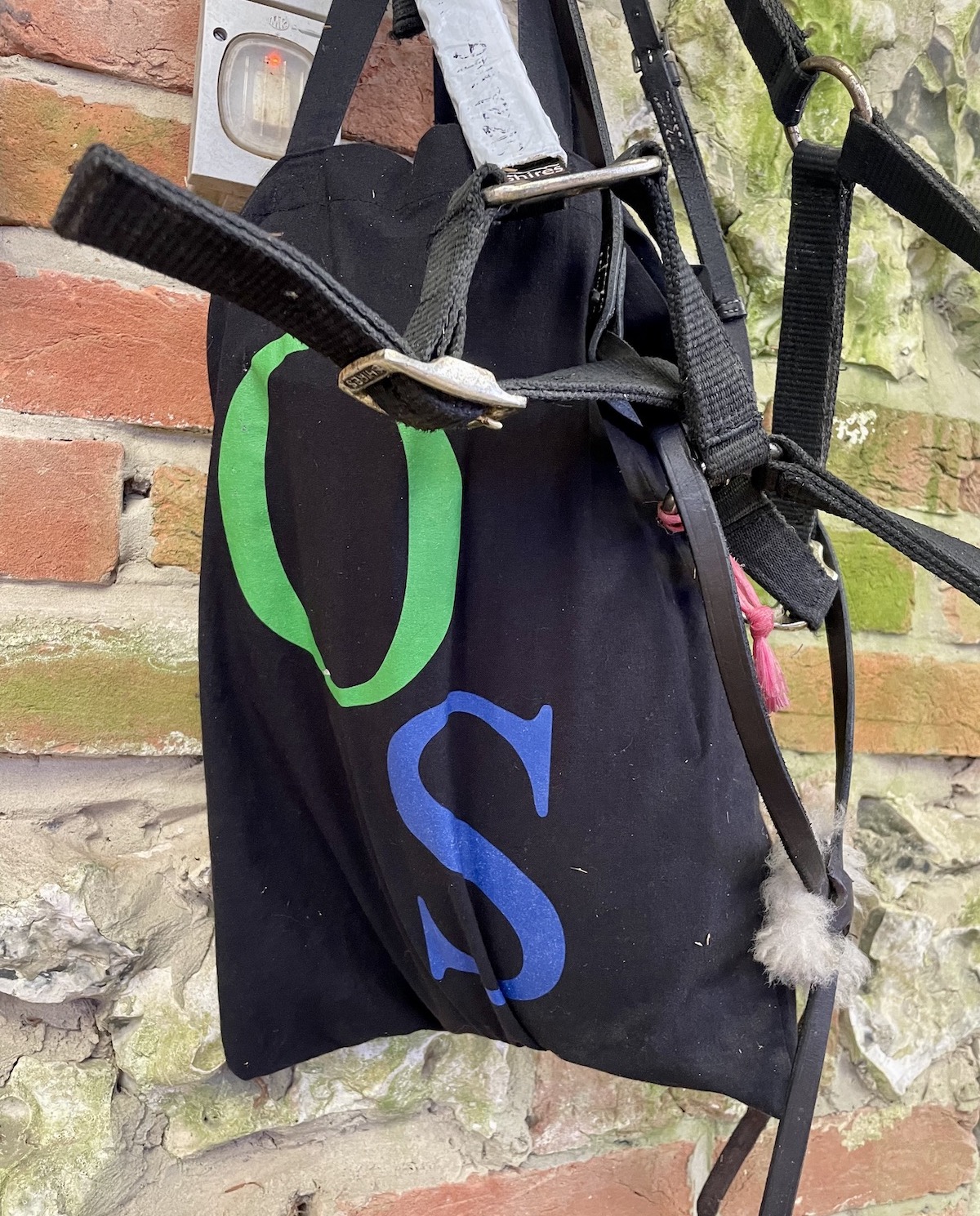 Famous colours: stable livery with blue and green logo reflective of Robert Sangster’s silks. Photo: Laura King