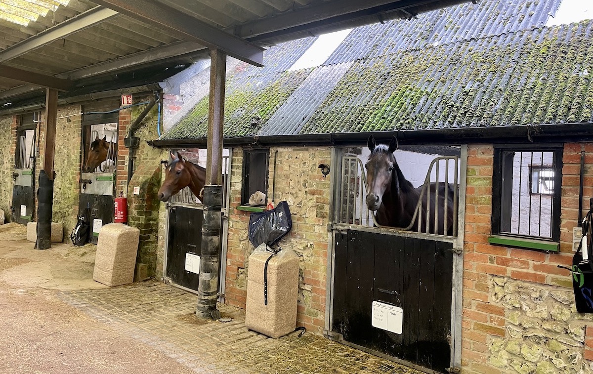 Ollie Sangster’s stable at historic Manton was a machinery barn in the estate’s heyday. Photo: Laura King