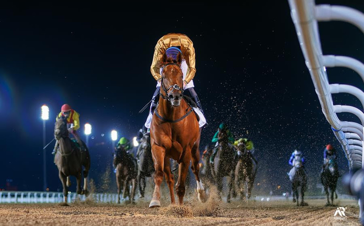 Algiers: Dubai World Cup runner-up is set for Breeders’ Cup Dirt Mile. Photo: Dubai Racing Club