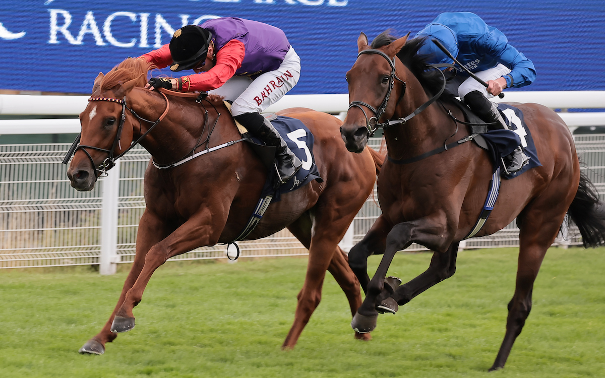 Full circle: Chesspiece (right) will carry the Godolphin blue for the Crisford team in the St Leger. Photo: Mark Cranham / focusonracing.com