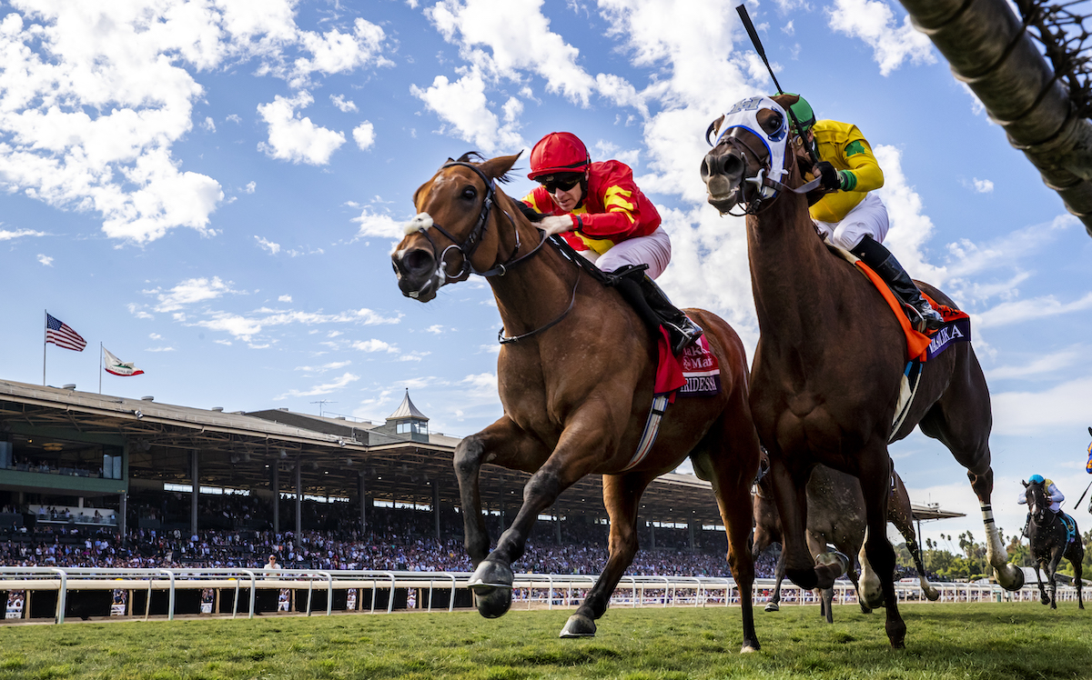 Half-length verdict: Iridessa (Wayne Lordan, far side) beats Vasilika to land the Breeders’ Cup Filly & Mare Turf. Photo: Alex Evers/Eclipse Sportswire/Breeders’ Cup/CSM