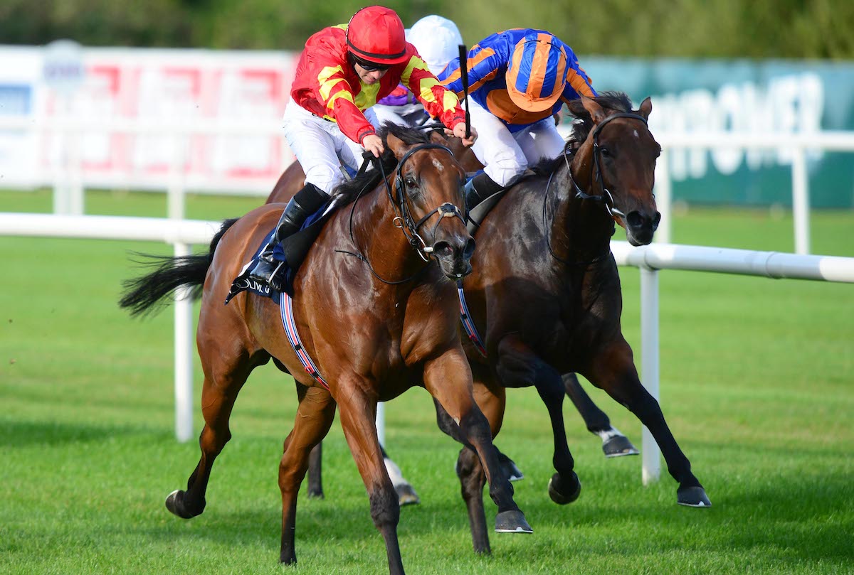 Iridessa (Wayne Lordan, near side) beats Hermosa in the G1 Matron Stakes at Leopardstown. Photo: Healy Racing / focusonracing.com