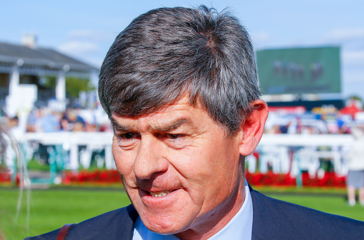 Simon Crisford: ‘Being a successful trainer is all about owner power.’ Photo: Mark Cranham / focusonracing.com