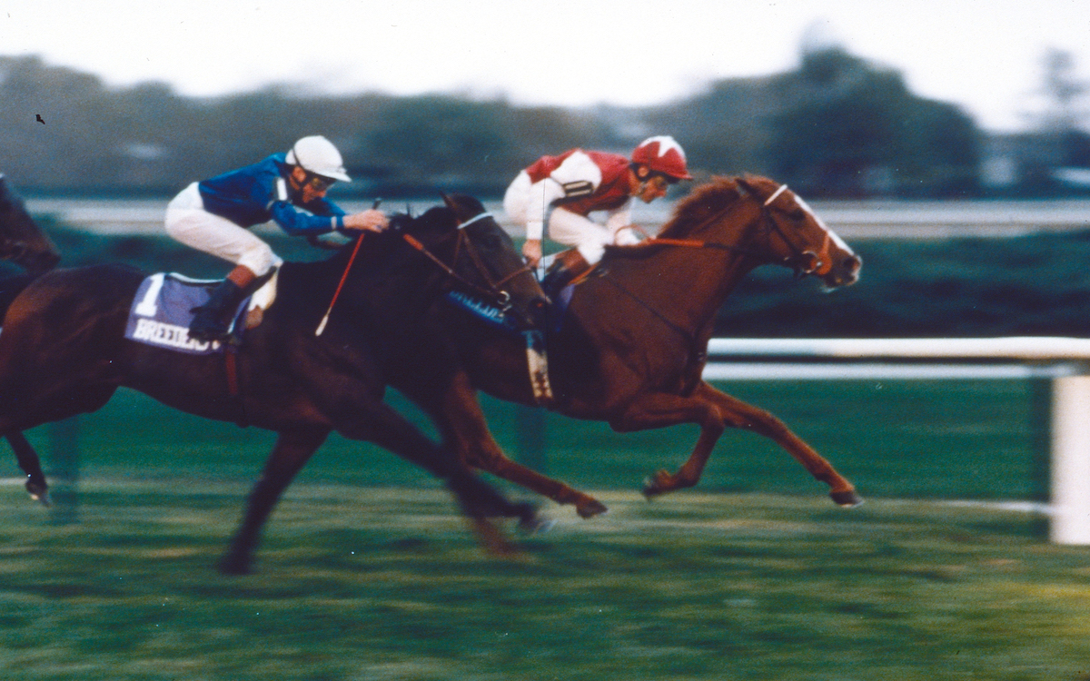 Groundbreaking success: Pebbles (Pat Eddery) holds off Strawberry Road to win the Breeders’ Cup Turf. © Breeders’ Cup Photo