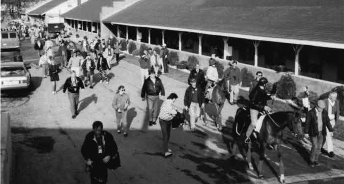 Kentucky Derby entourage: No horse had ever made such an entrance as Arazi. Photo supplied