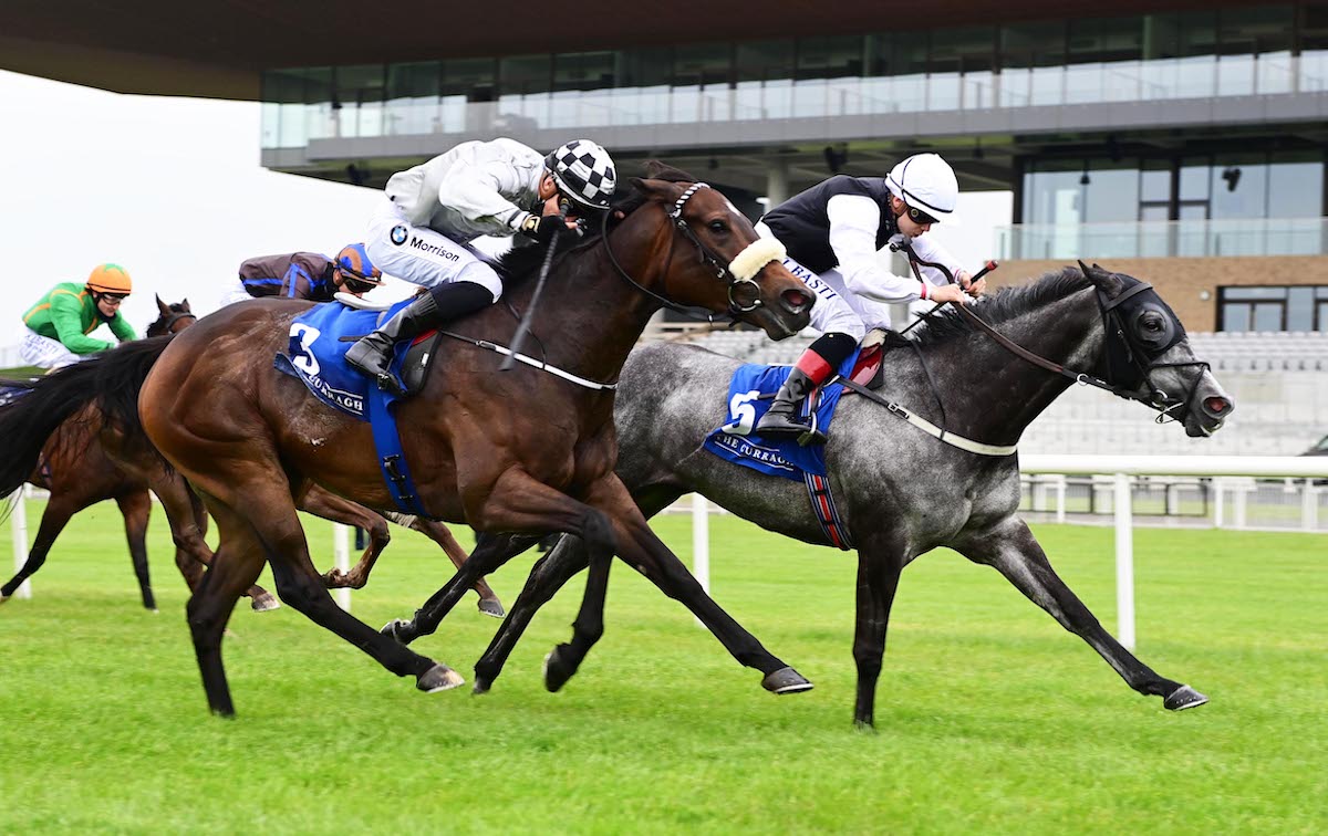 Sonaiyla (far side): won G3 Ballyogan Stakes and third at G1 level after joining Paddy Twomey stable. Photo: Healy /focusonracing.com