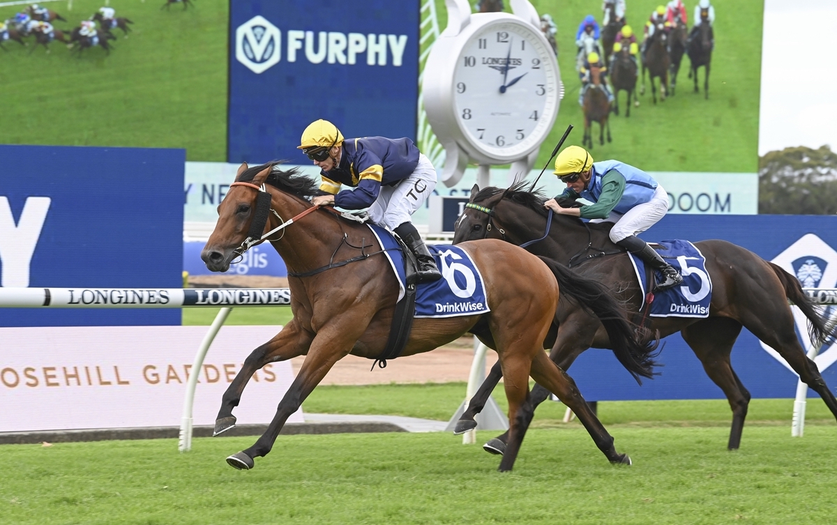 Zeyrek: Aussie G3 winner won twice in France for the Aga Khan’s longstanding trainer Alain de Royer-Dupre. Photo: Bradley Photographers / Racing NSW