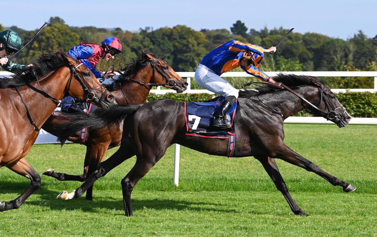 Breeders’ Cup bound: Ryan Moore drives out Auguste Rodin to win the Irish Champion Stakes. Photo: Healy / focusonracing.com