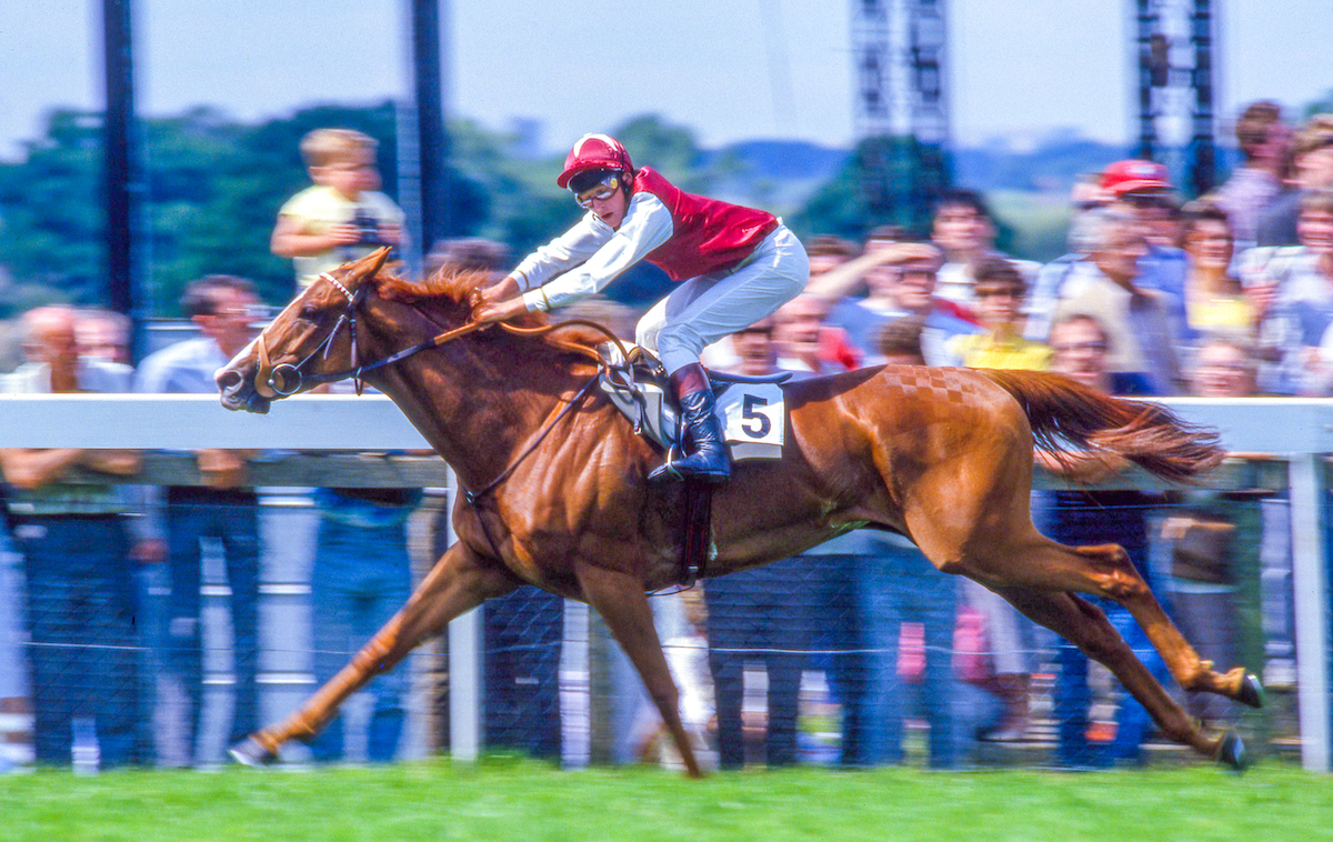 Starring at Sandown: Pebbles (Steve Cauthen) is a brilliant winner of the Coral-Eclipse. Photo: Mark Cranham/focusonracing.com