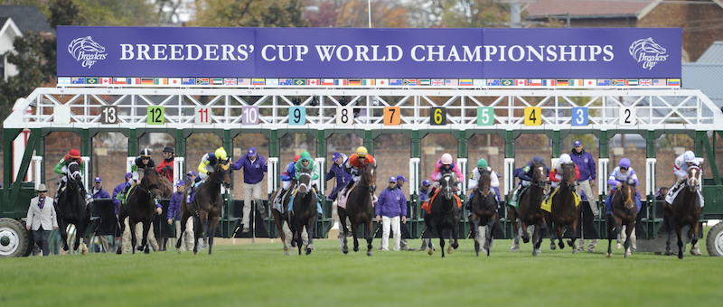 Starting gate: Pluck breaks from out wide in gate 13 before an eventful Breeders’ Cup contest in 2010. Photo: © Breeders' Cup/Todd Buchanan