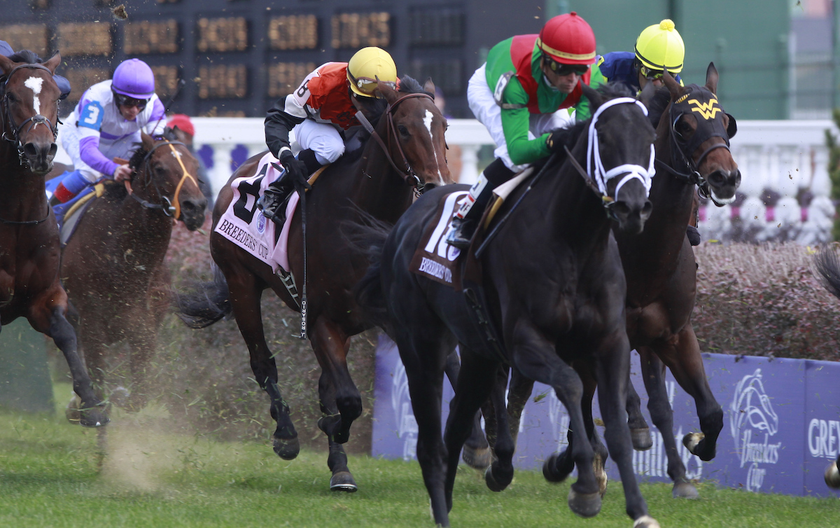 Last to first: Pluck asserts under Garrett Gomez in the closing stages of the Breeders’ Cup Juvenile Turf in 2010. Photo: © Breeders' Cup/Todd Buchanan