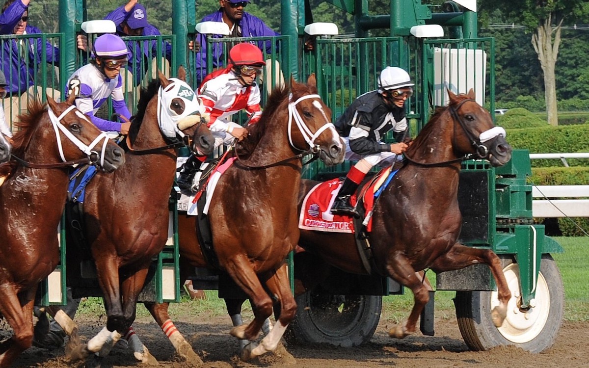 Commentator (No. 1) leaps from the Saratoga gate in pursuit of his second Whitney Stakes title. Photo: Coglianese