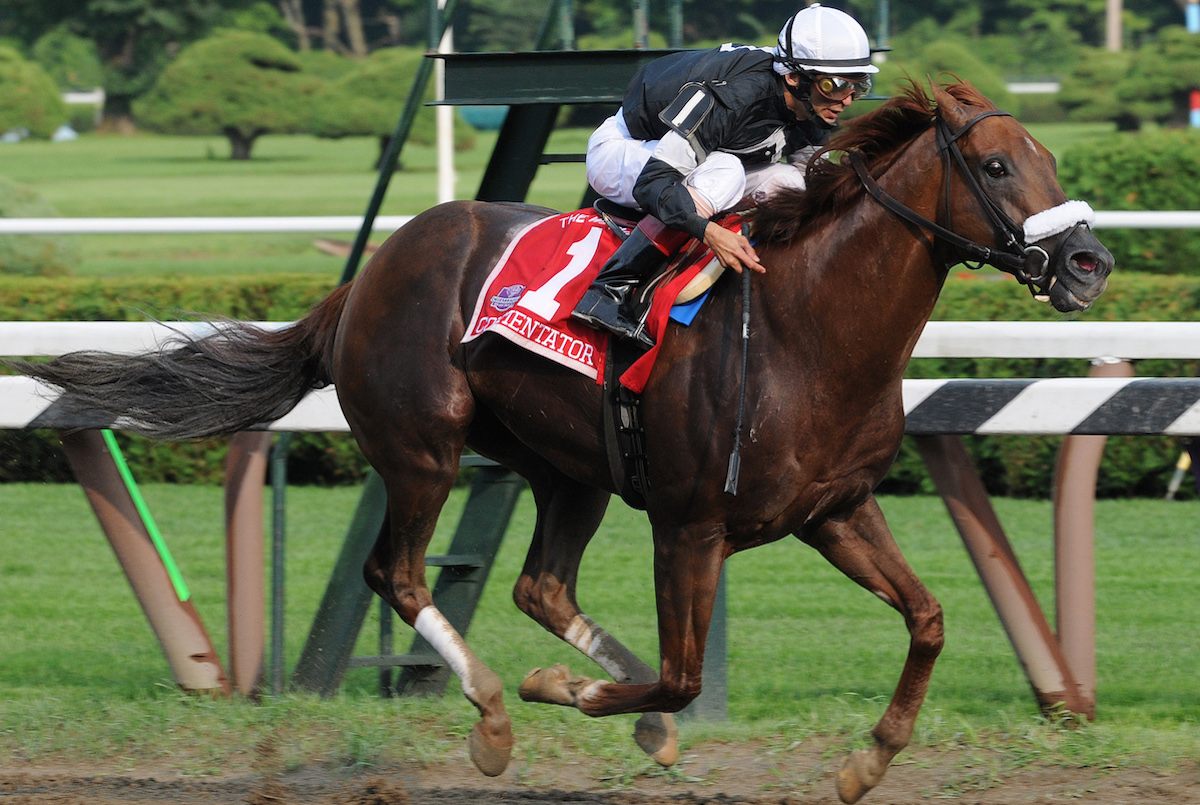 Commentator hits the wire in the 2008 Whitney to become the first two-time winner in 45 years. Photo: Coglianese