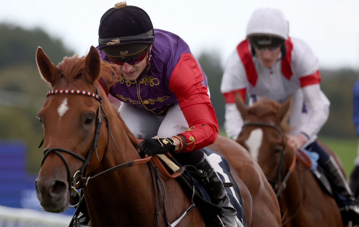 Glorious at Goodwood: Desert Hero wins the Gordon Stakes under Tom Marquand. Photo: Dan Abraham / focusonracing.com