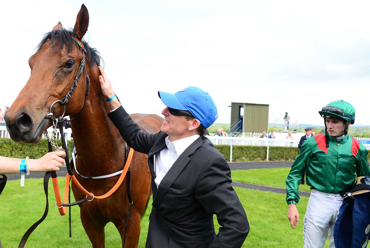 Shartash: a first winner for the Aga Khan for trainer Johnny Murtagh and set to be sold at the Arqana Arc Sale. Photo: Healy / focusonracing.com