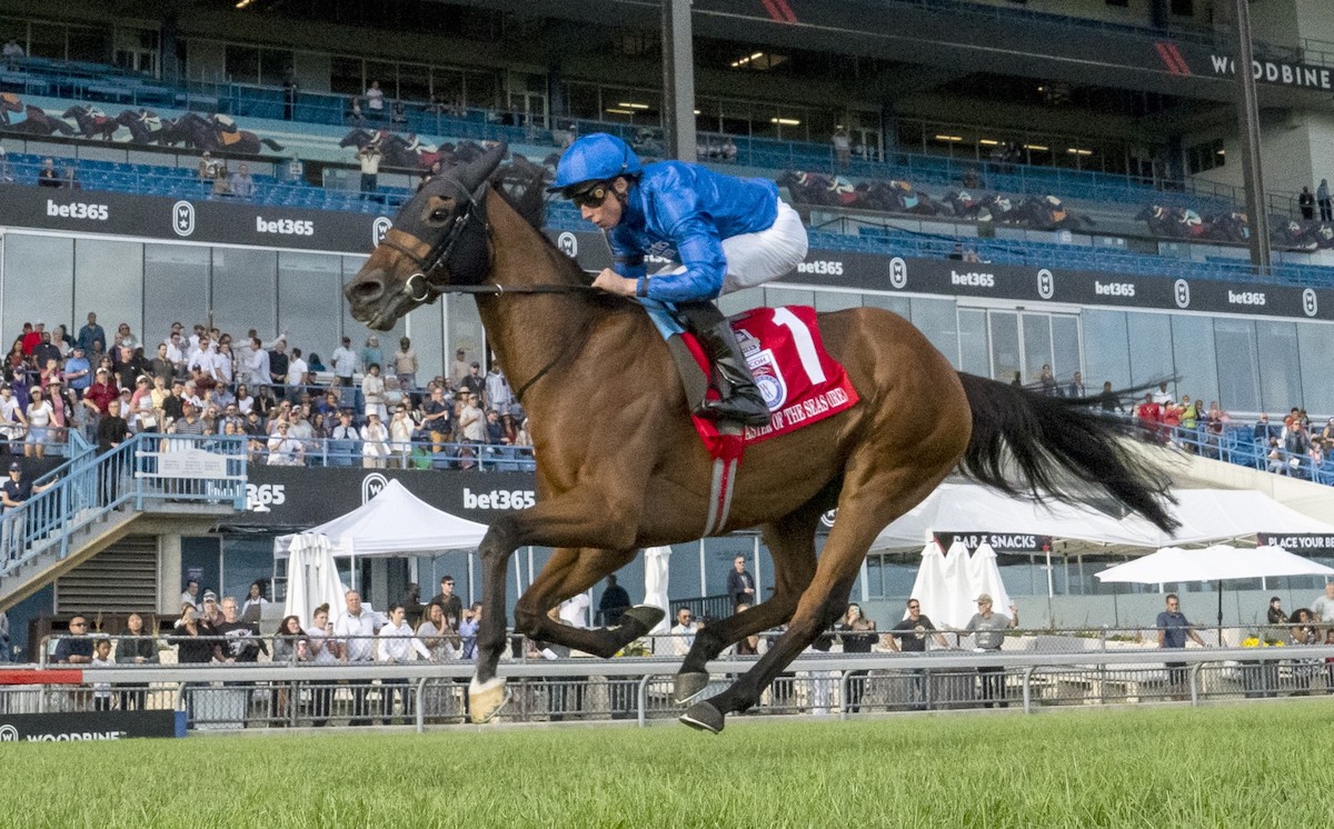 Master Of The Seas (William Buick) wins Woodbine Mile to earn fees-paid slot in Breeders’ Cup Mile. Photo: Michael Burns / Woodbine Entertainment