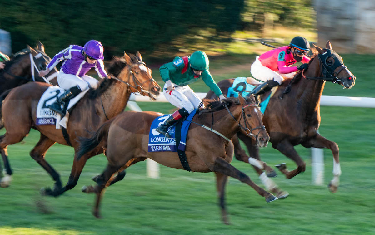 Swooping to conquer: Tarnawa (Colin Keane) clams the Breeders’ Cup Turf with a late charge. Photo: Scott Serio/Breeders’ Cup/Eclipse Sportswire/CSM