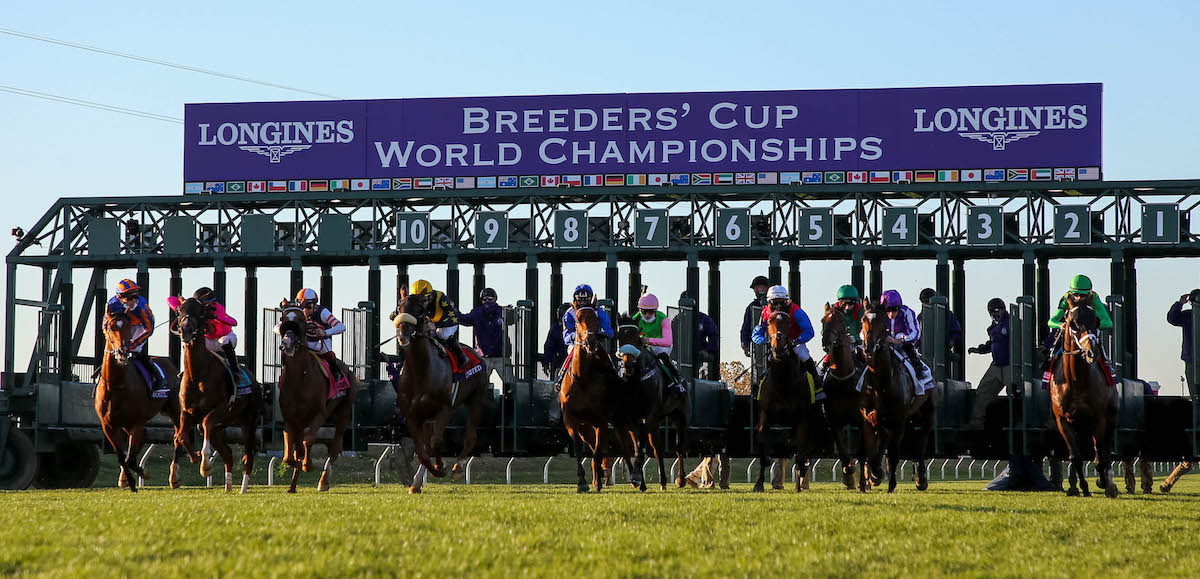 They’re off for the Breeders’ Cup Turf, with Tarnawa breaking from gate 3. Photo: Matt Wooley/Breeders’ Cup/Eclipse Sportswire/CSM