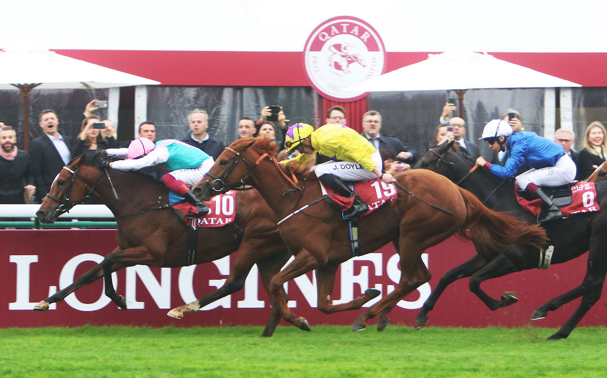 Enable holds off Sea Of Class to complete back-to-back wins in the Prix de l’Arc de Triomphe. Photo: focusonracing.com