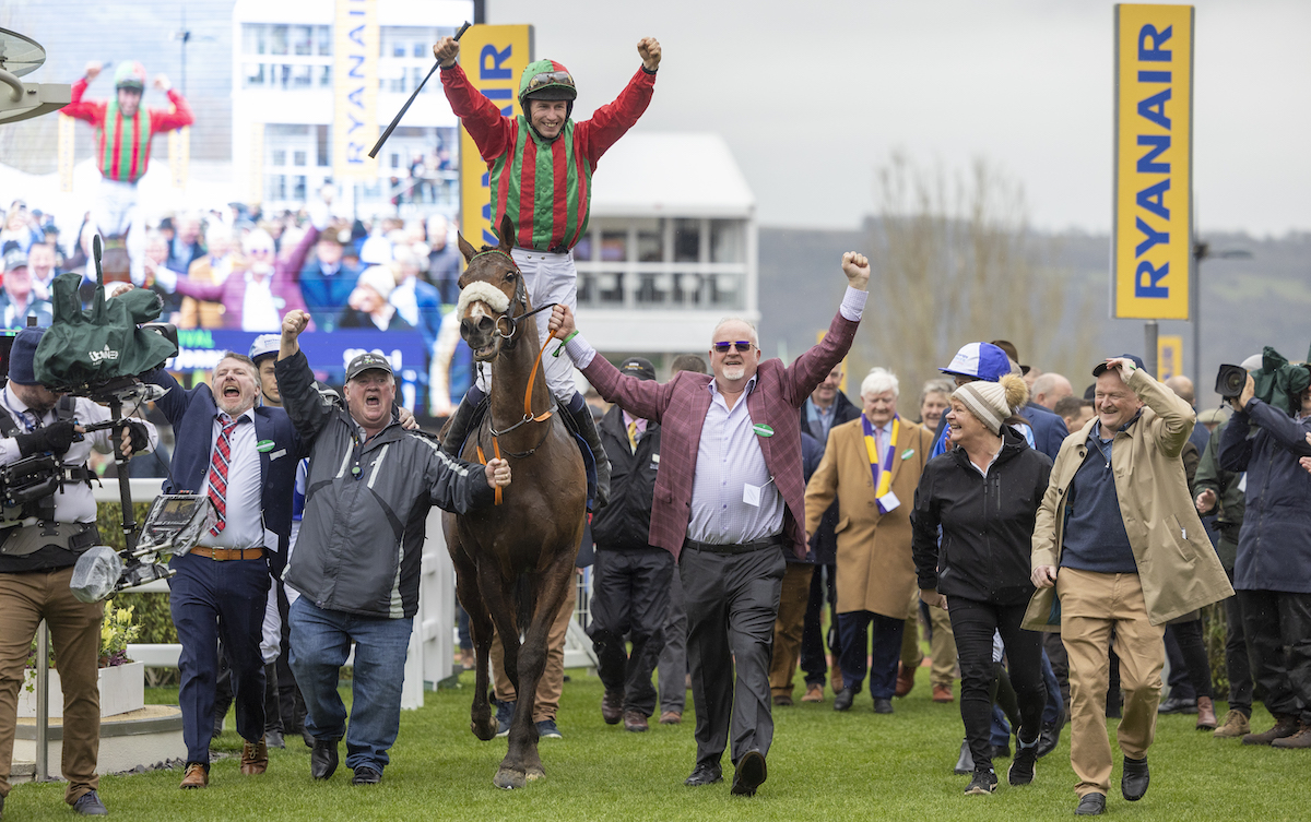 Celebration time: Good Time Jonny, trained in Ireland by Tony Martin, scored at the 2023 Cheltenham Festival for his New York-based expat partnership. Photo: Horse Racing Ireland