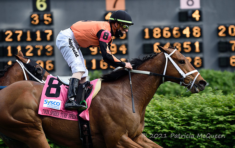 Fast Boat: former claimer, pictured winning the G2 Twin Spires Turf Sprint in 2021, is one of many stakes-winning female-line descendants of Secretariat’s daughter Riviere Doree. Photo: Patricia McQueen