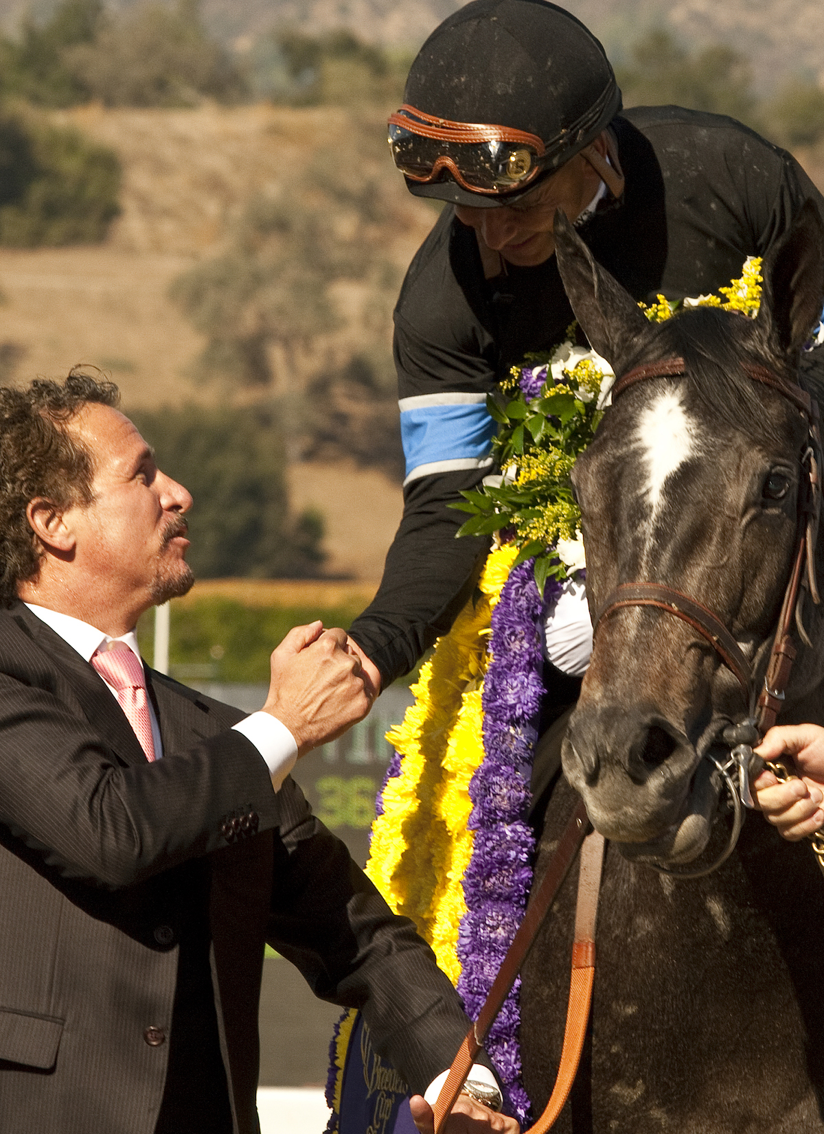 Jim Rome greets Mike Smith and Mizdirection as they enter the Breeders' Cup winner's circle. (Benoit photo)
