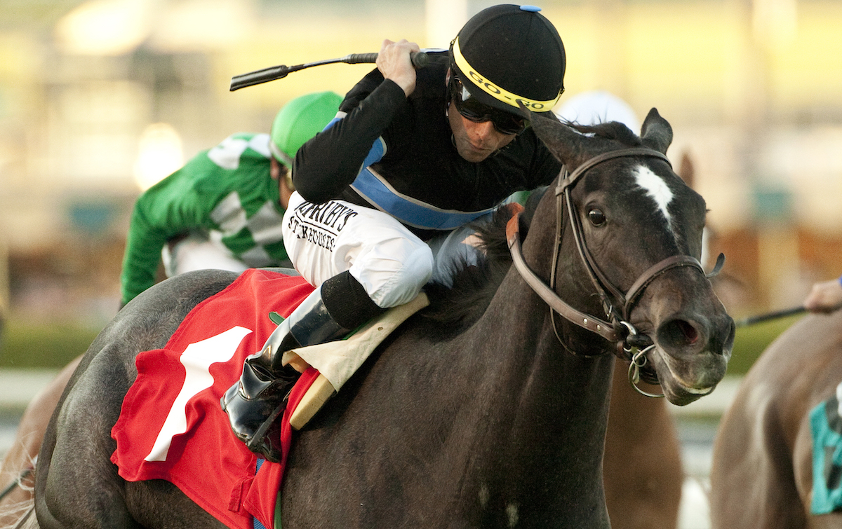 Garrett Gomez was part of the early Mizdirection story with their score in the 2012 Las Cienegas Stakes (Benoit Photo)