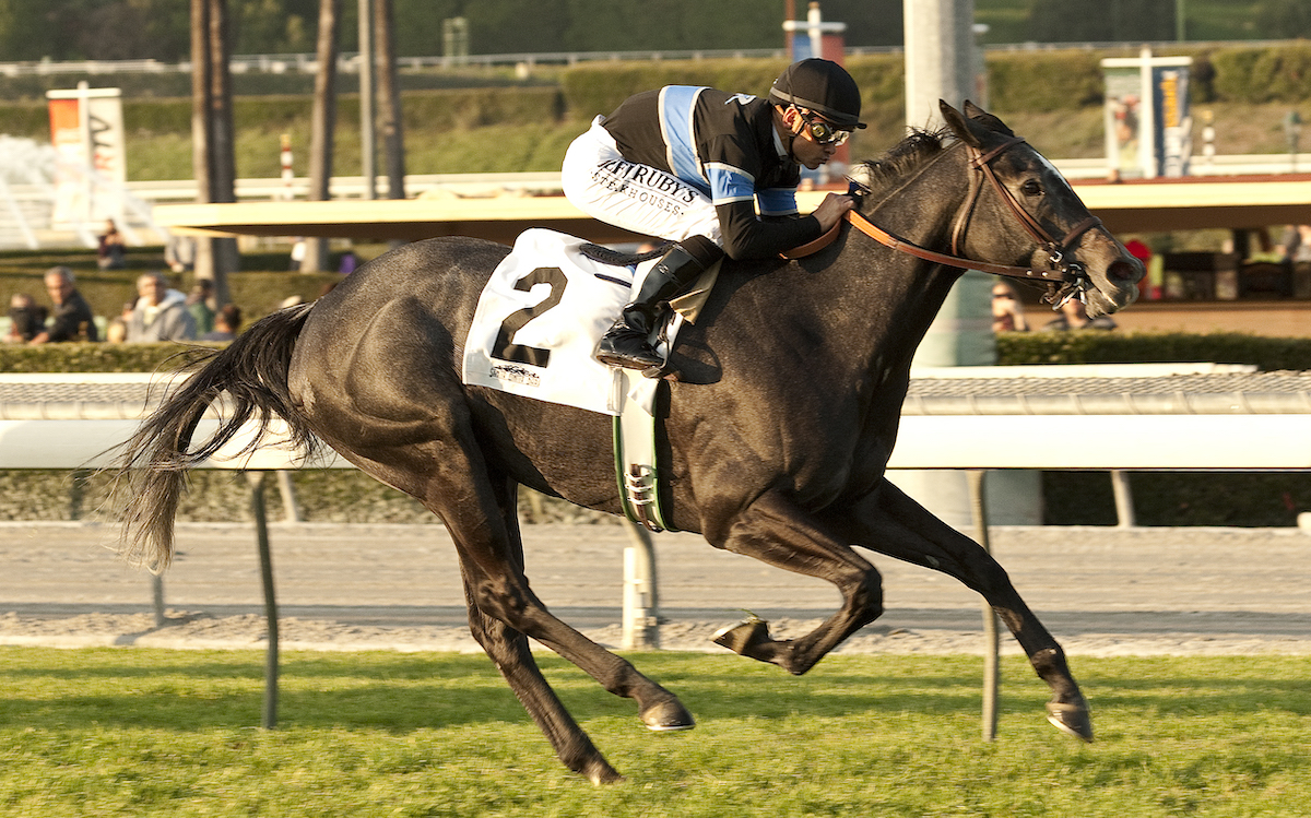 Even a mile was no problem for Mizdirection and Mike Smith in the Buena Vista Stakes. (Benoit photo)