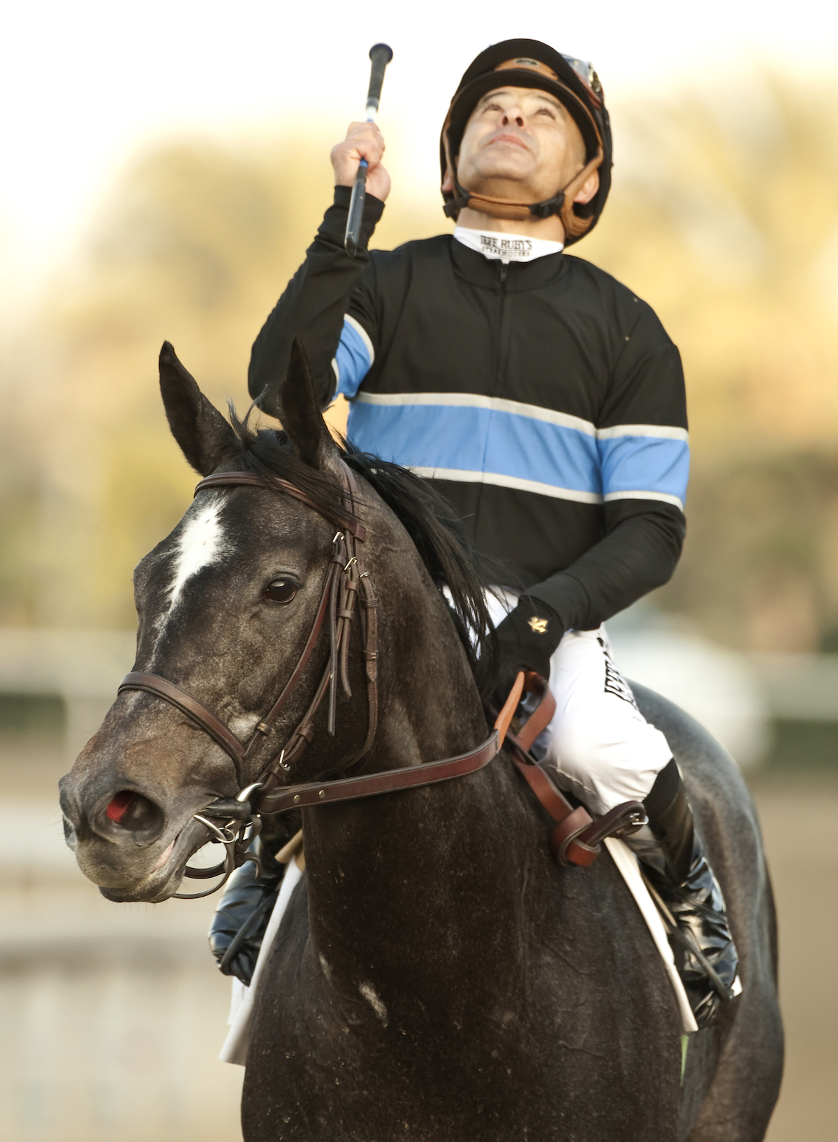 The Queen of the Santa Anita Hill and her consort, Mike Smith. (Benoit photo)