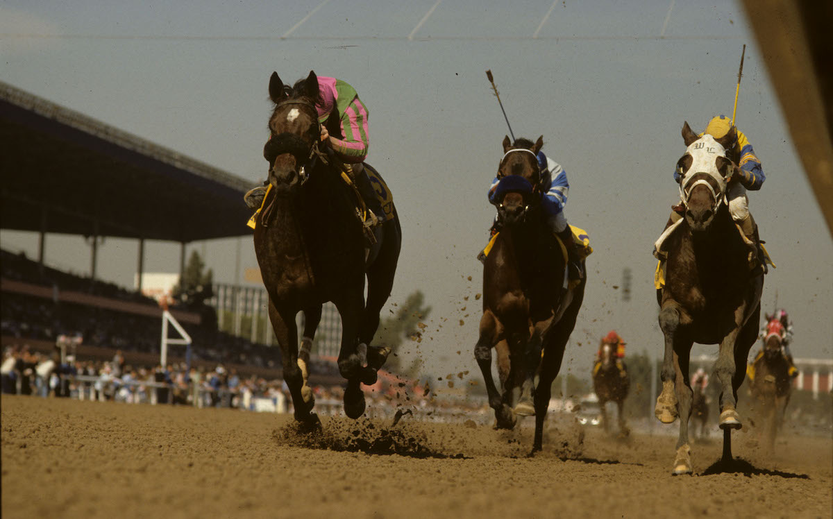 The dream becomes reality: Chief’s Crown (Don MacBeth, left) wins the first-ever Breeders’ Cup race in the 1984 Juvenile. Photo: Breeders’ Cup