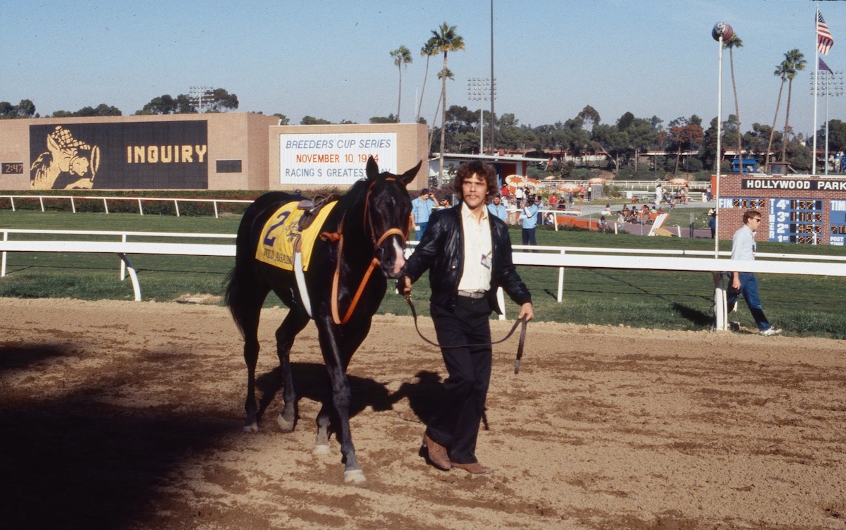 Job done: Wild Again is led back to the winner’s circle after winning the first Breeders’ Cup Classic, $3m climax of the inagural event at Hollywood Park in 1984. Photo: Breeders’ Cup