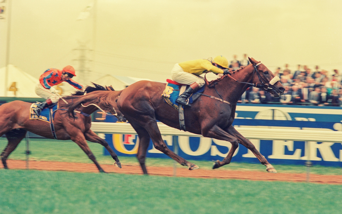 Vintage Crop (Mick Kinane) storms home from longshot Te Akau Nick to win the 1993 Melbourne Cup at Flemington. Photo: Andrew Rosenfeldt / VRC