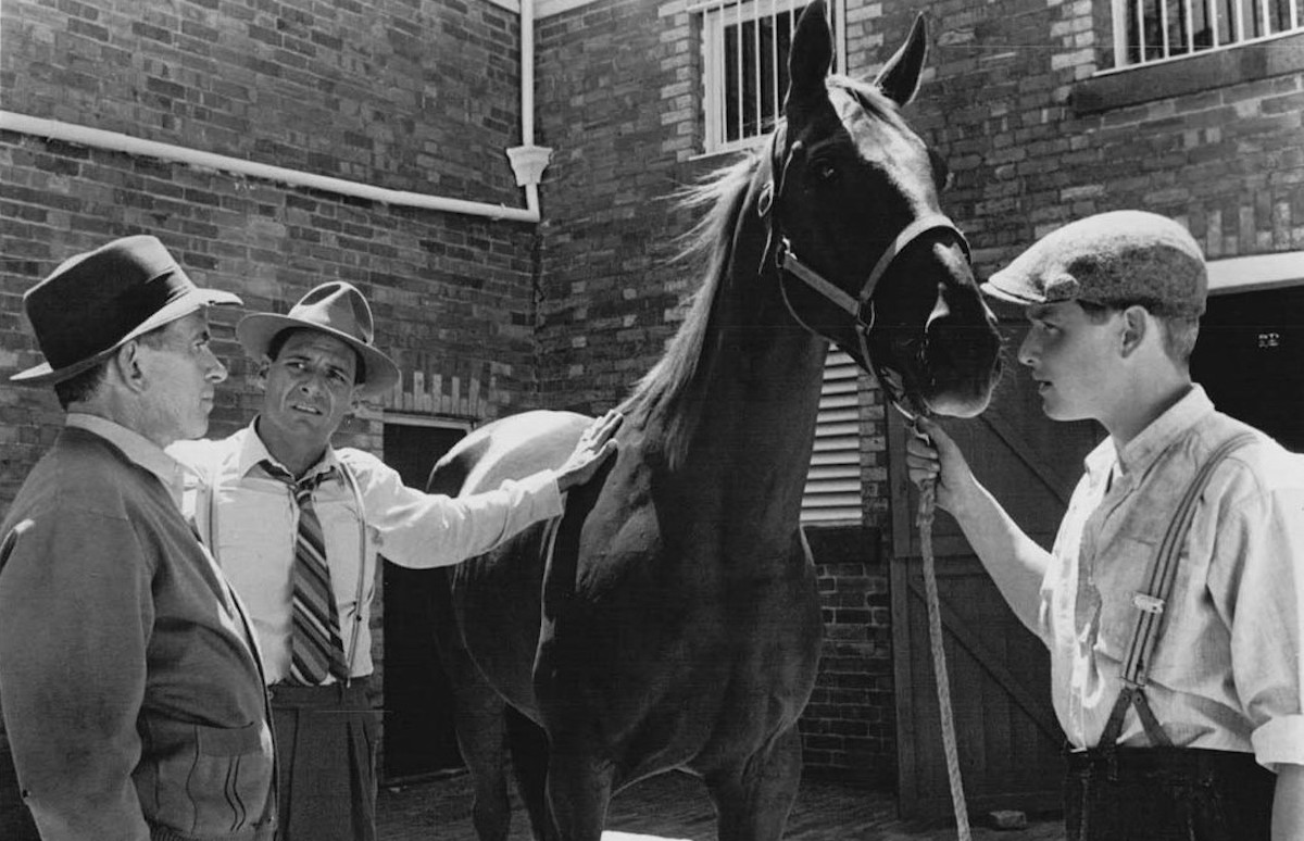 The Phar Lap brains trust contemplates the next move for their champion. (20th Century Fox photo)