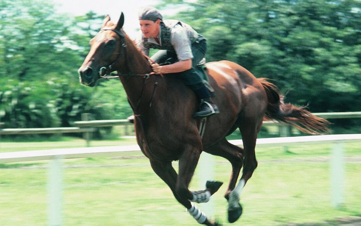 Burlinson rides one of the movie Phar Laps in a morning work. (20th Century Fox photo)